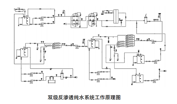 雙極反滲透純水系統工作原理圖