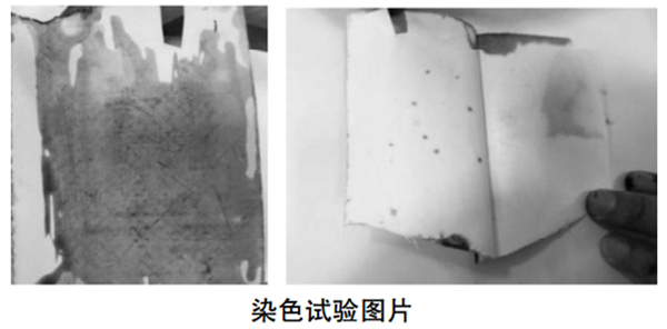 染色試驗圖片.png